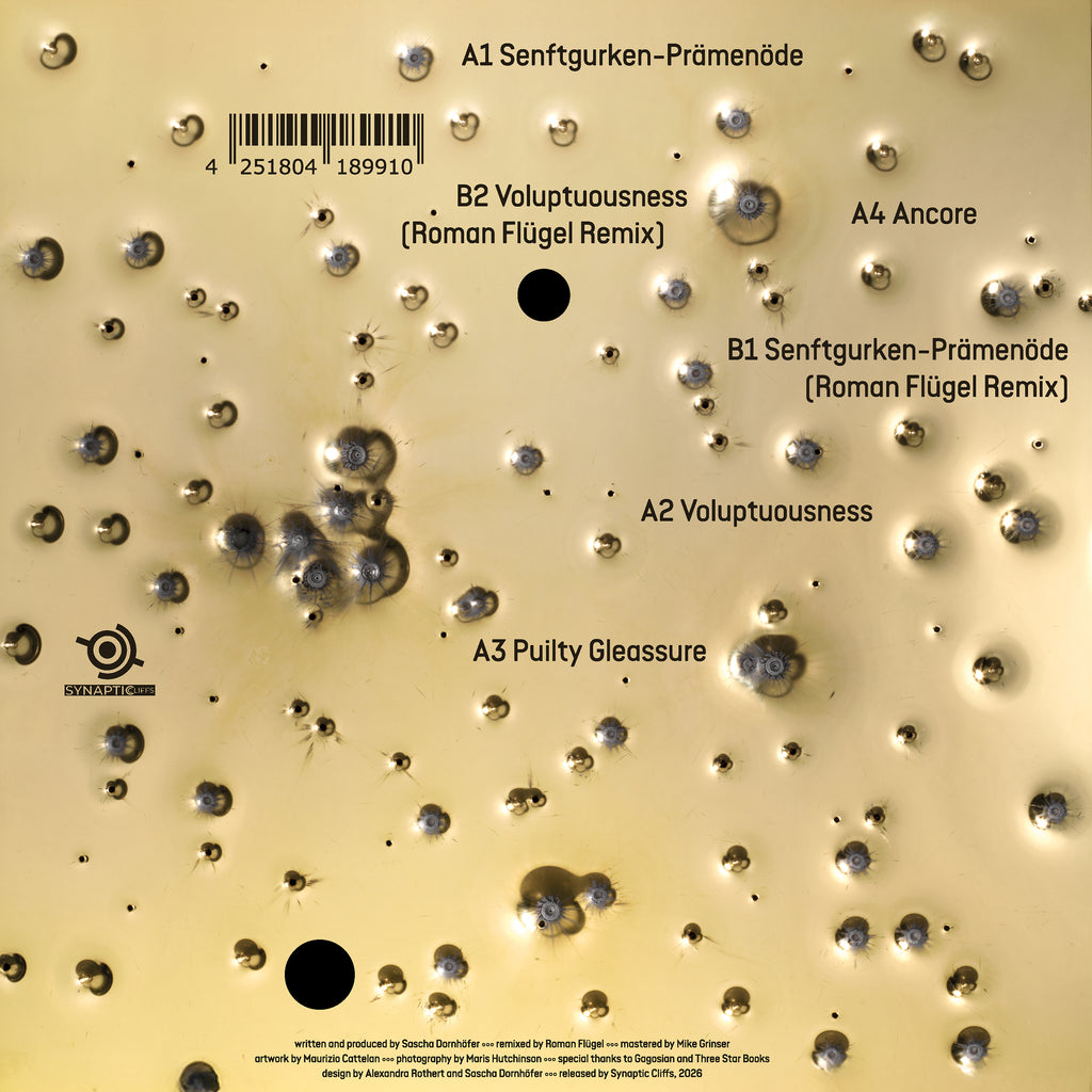 Direct Hits (12" Vinyl)